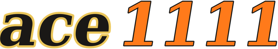 ace1111 logo